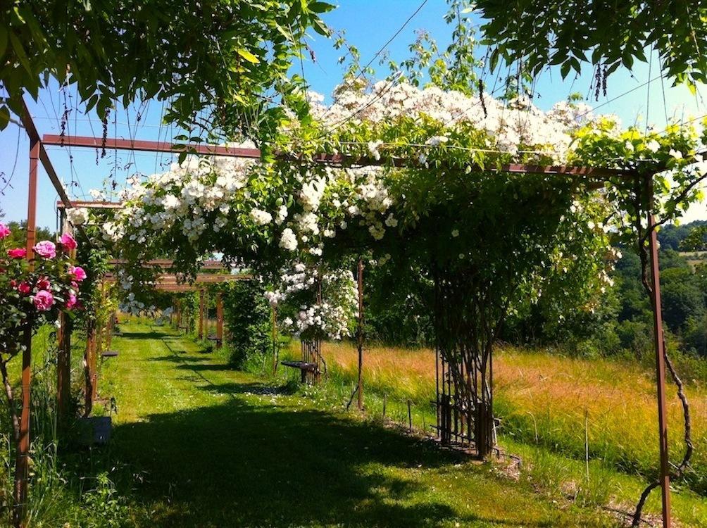 Mas Del Lum Bed and Breakfast Boussac  Εξωτερικό φωτογραφία